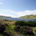 Connemara National Park: lakes and more!